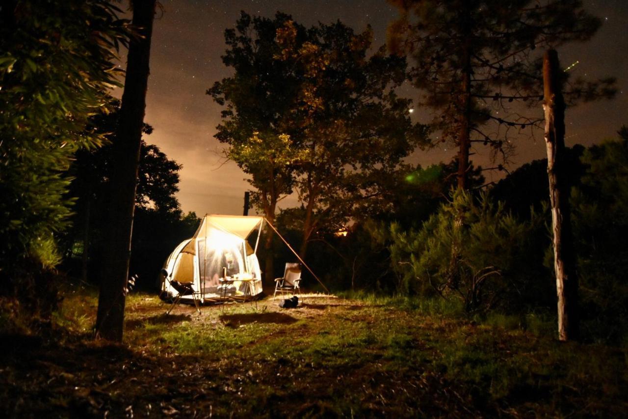 Agriturismo Ca Du Chittu Carro Kültér fotó