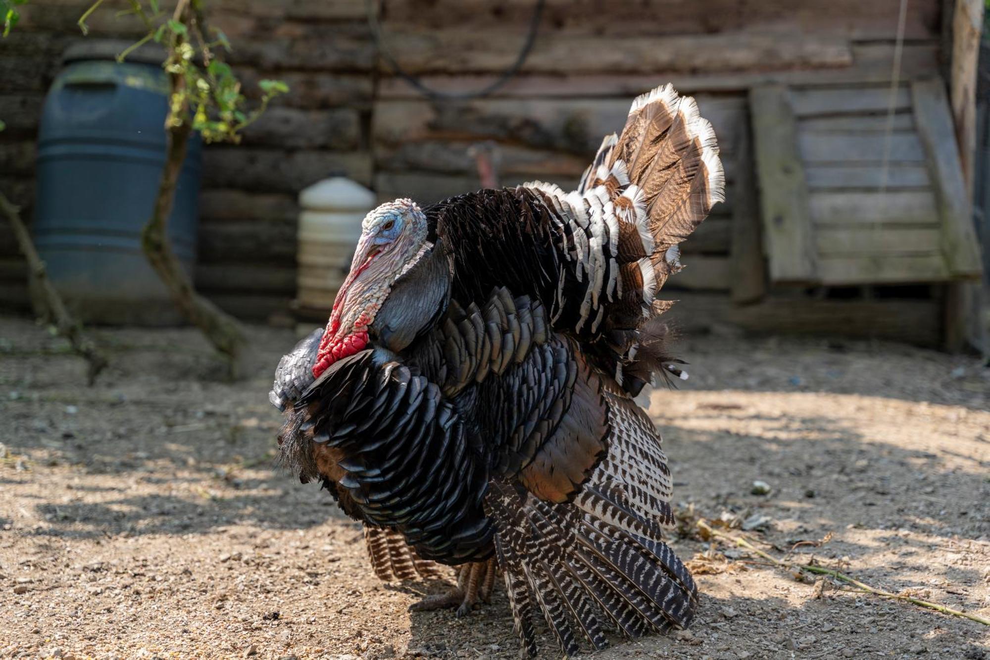 Agriturismo Ca Du Chittu Carro Kültér fotó