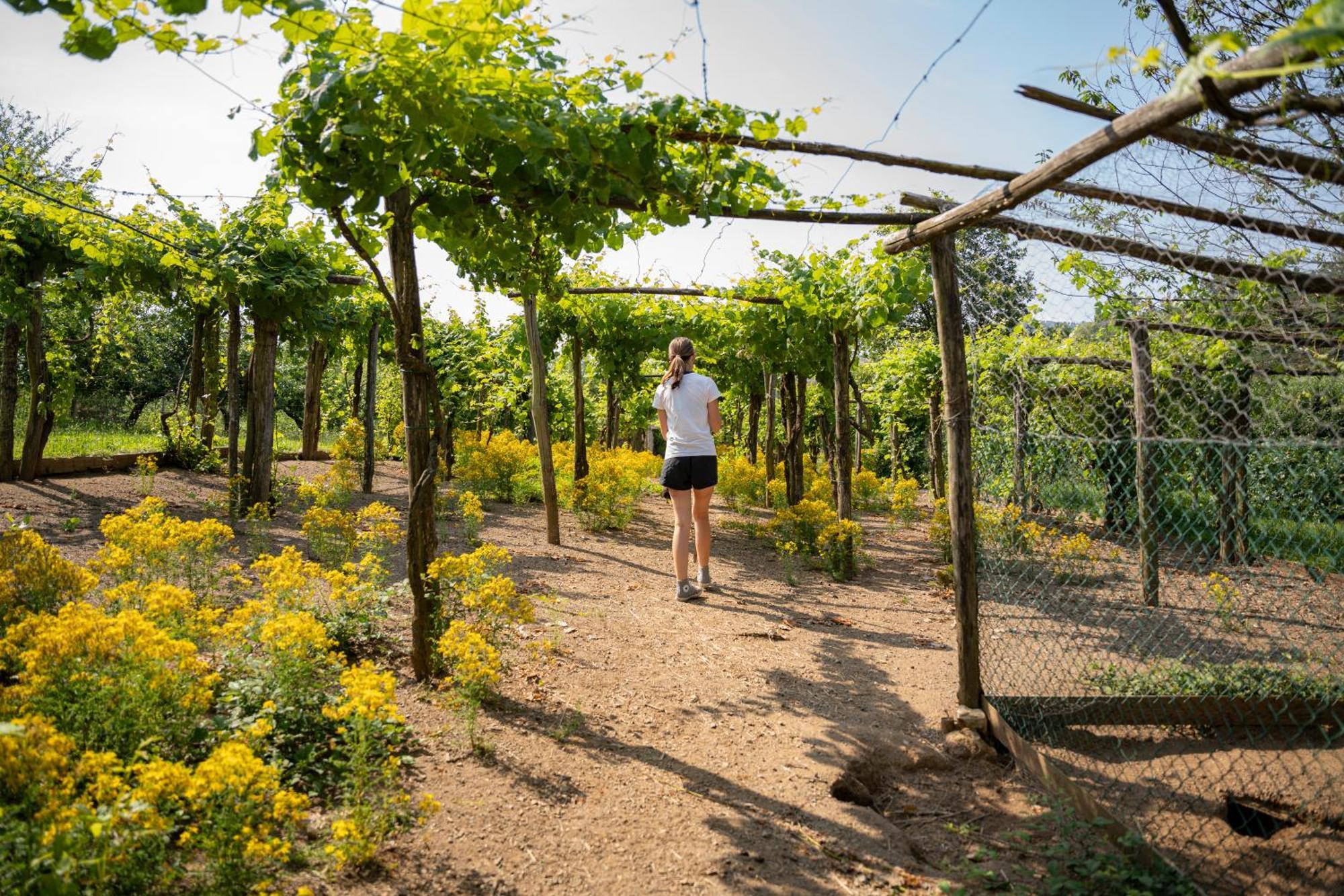 Agriturismo Ca Du Chittu Carro Kültér fotó