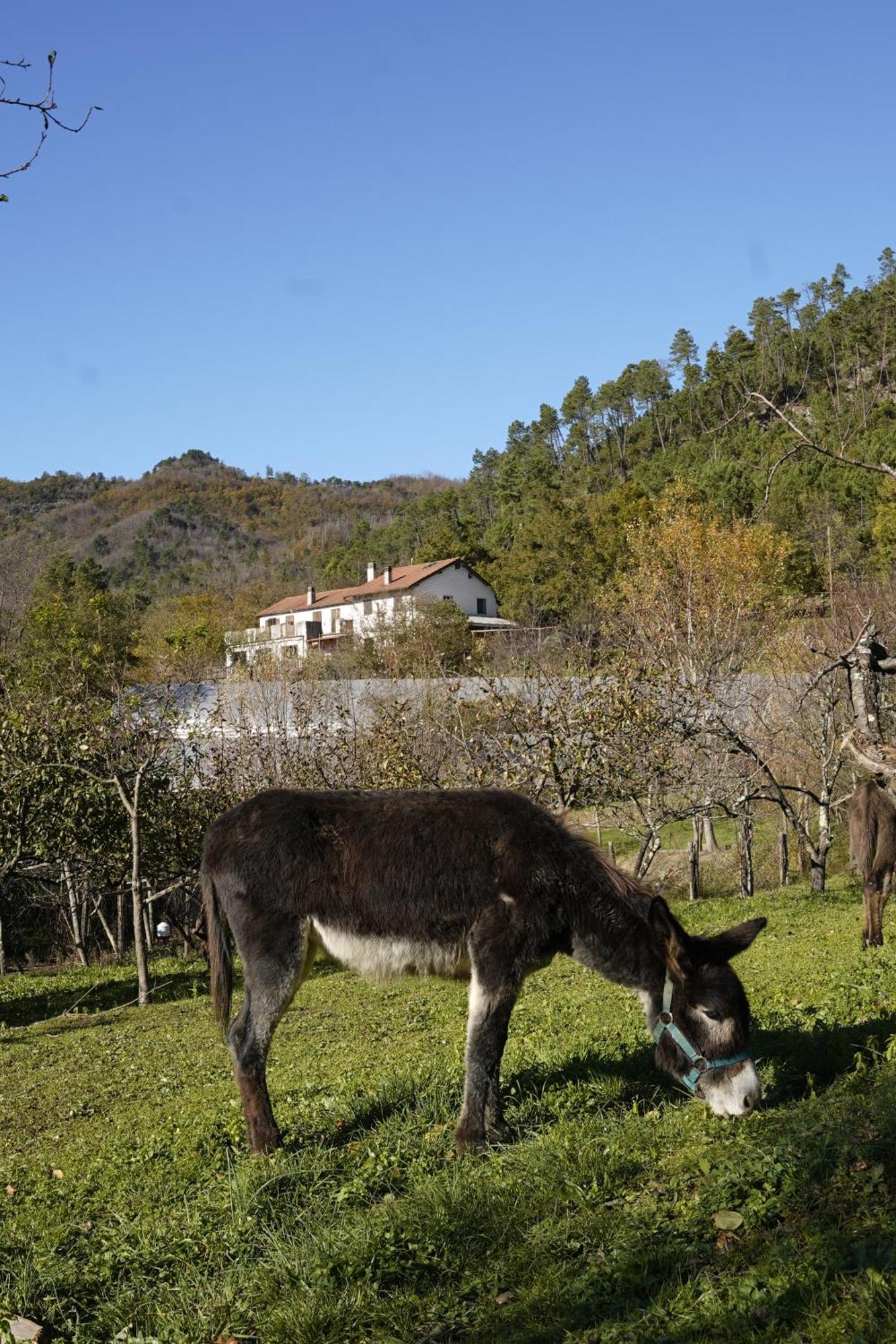 Agriturismo Ca Du Chittu Carro Kültér fotó