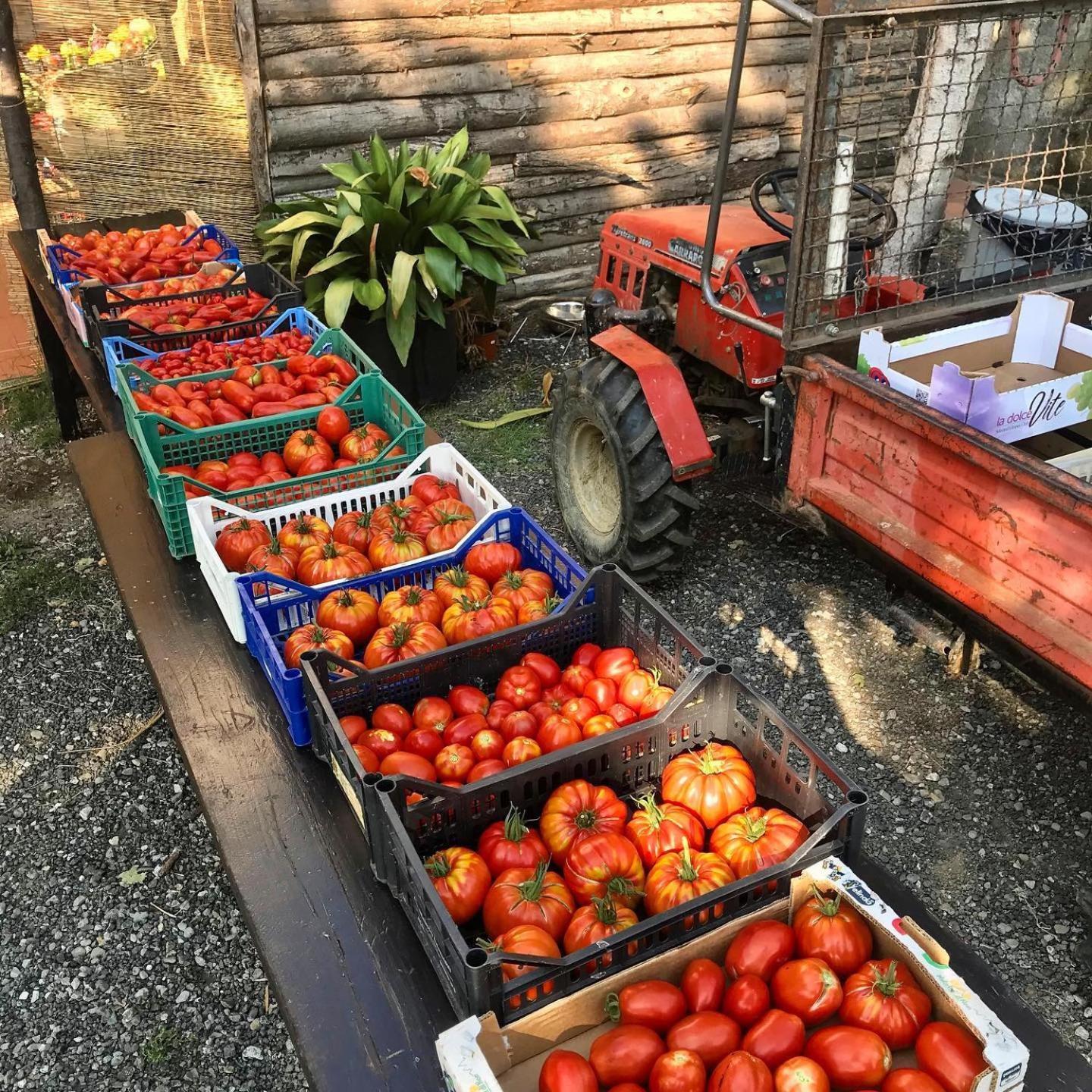 Agriturismo Ca Du Chittu Carro Kültér fotó